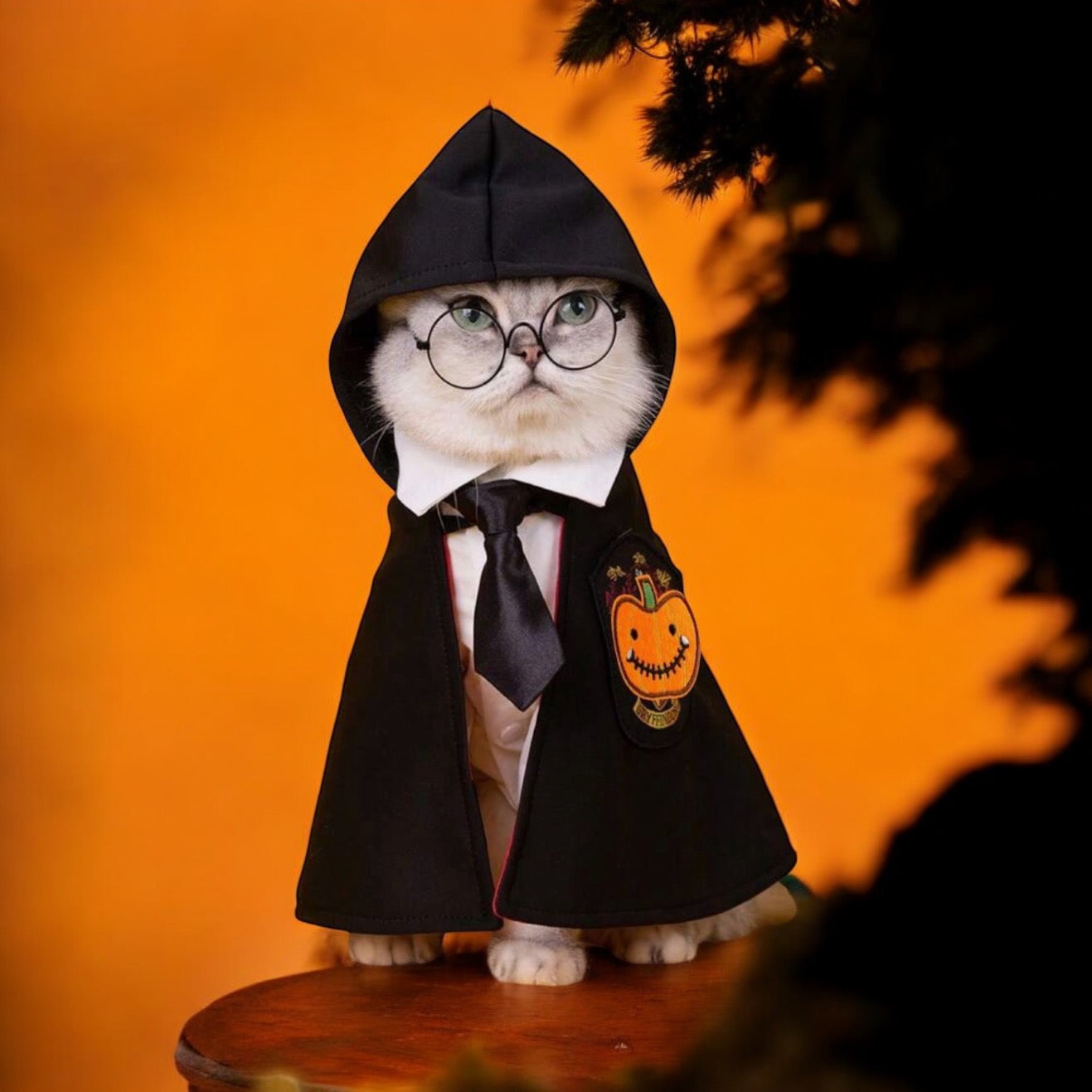 Disfraz de Mago para Mascotas – Hechizos y Misterios 🧙♂️✨