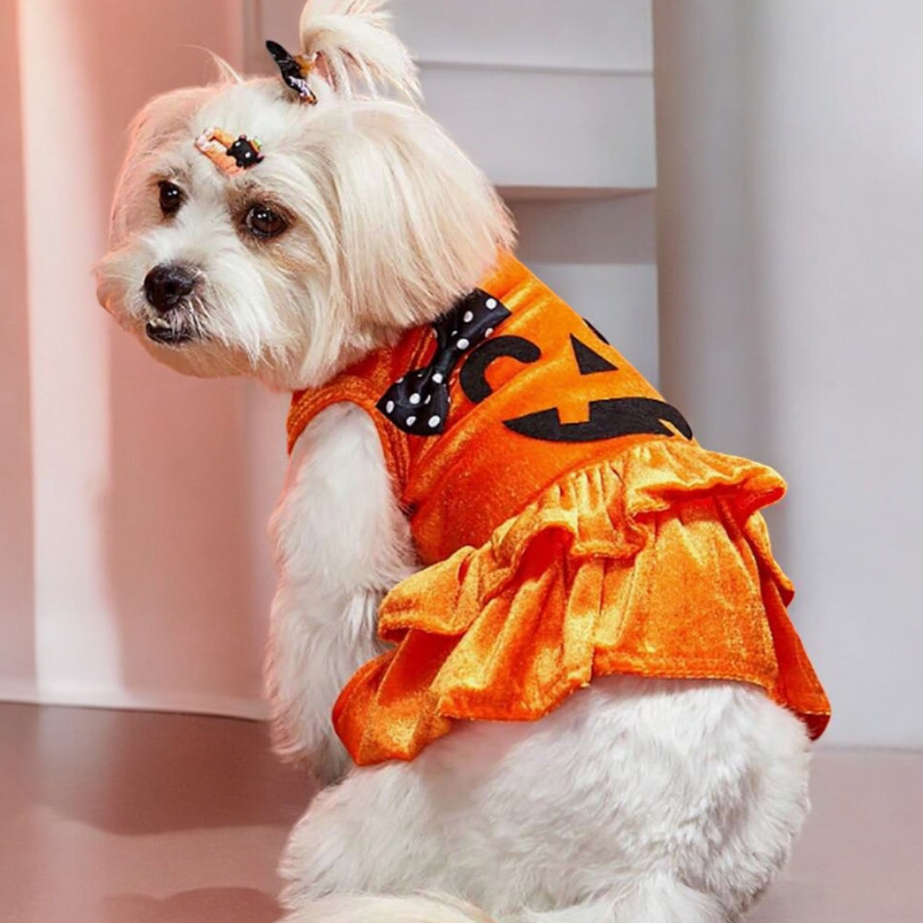Vestido Calabaza
