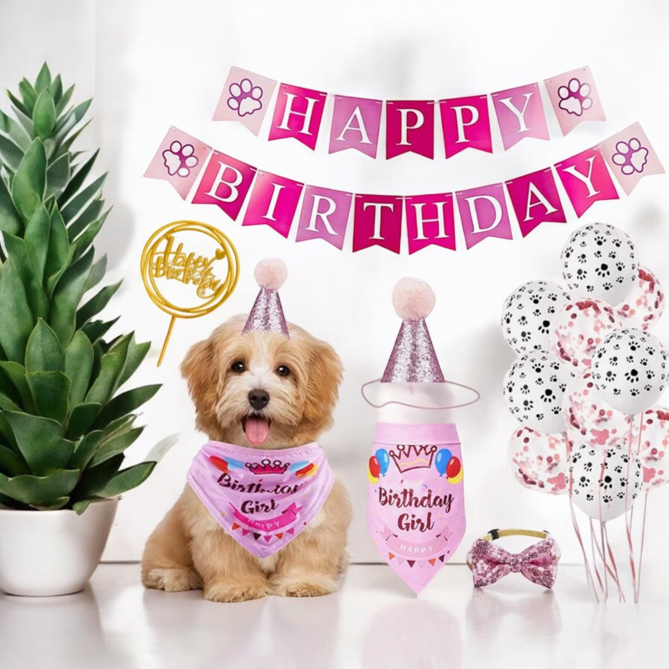 Kit de cumpleaños
