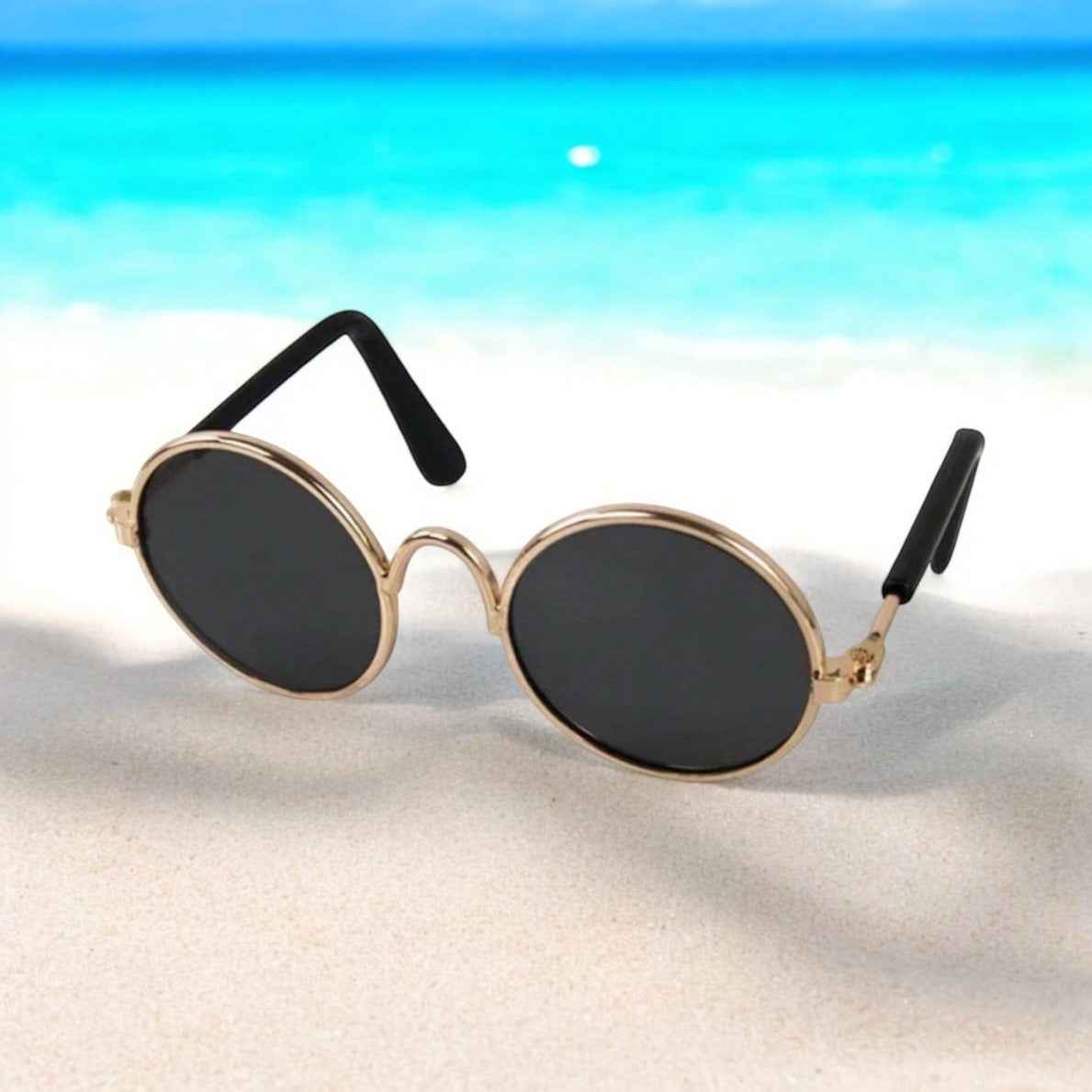 Gafas de sol para mascota