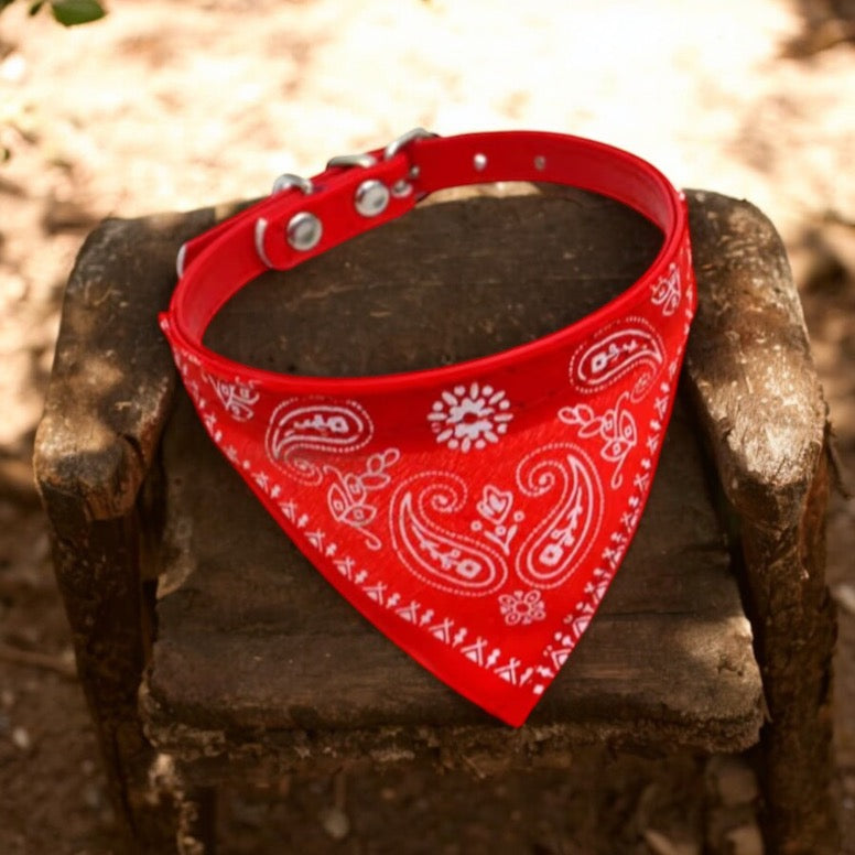Collar con bandana