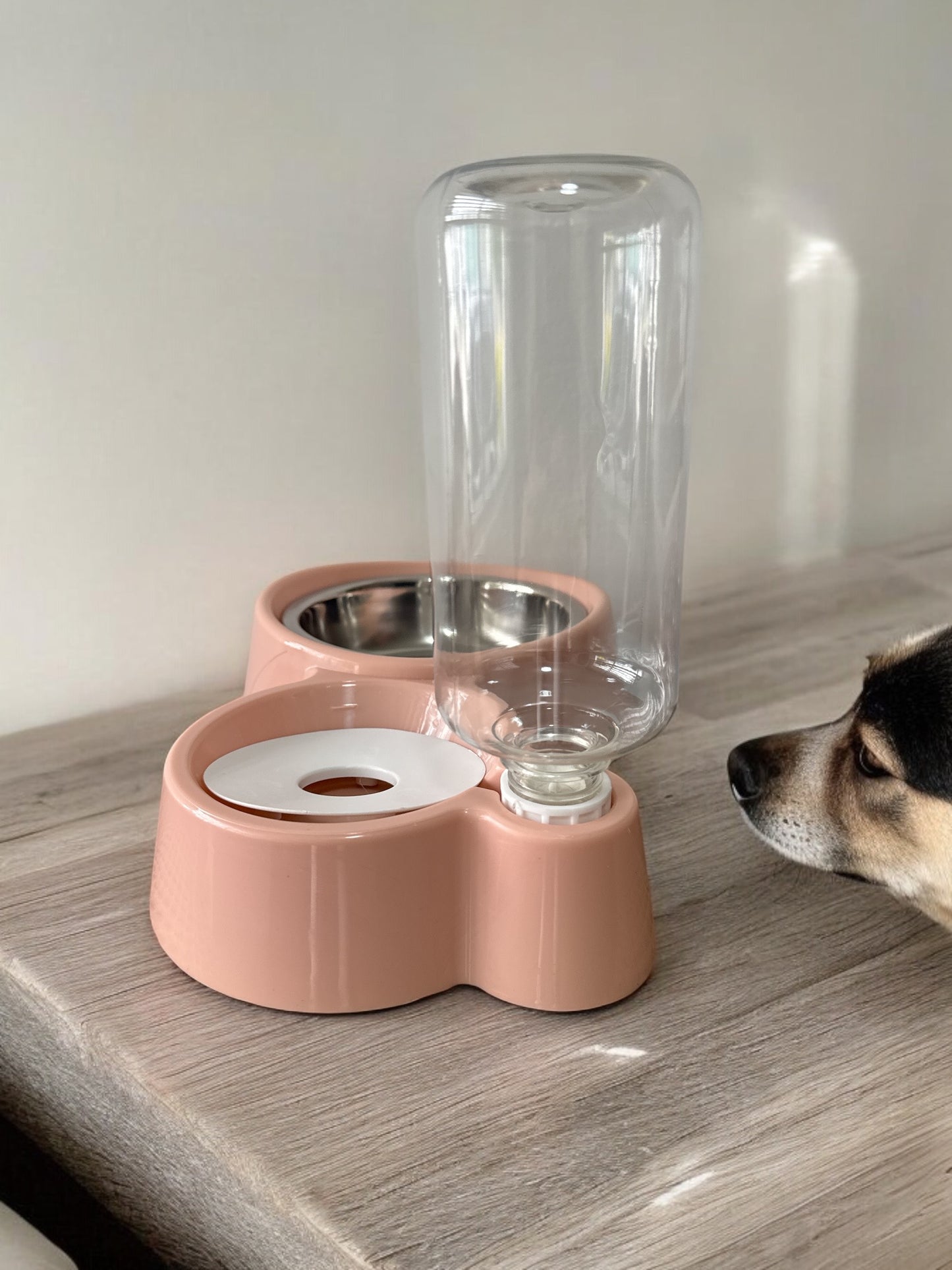 Comedero con dispensador de agua