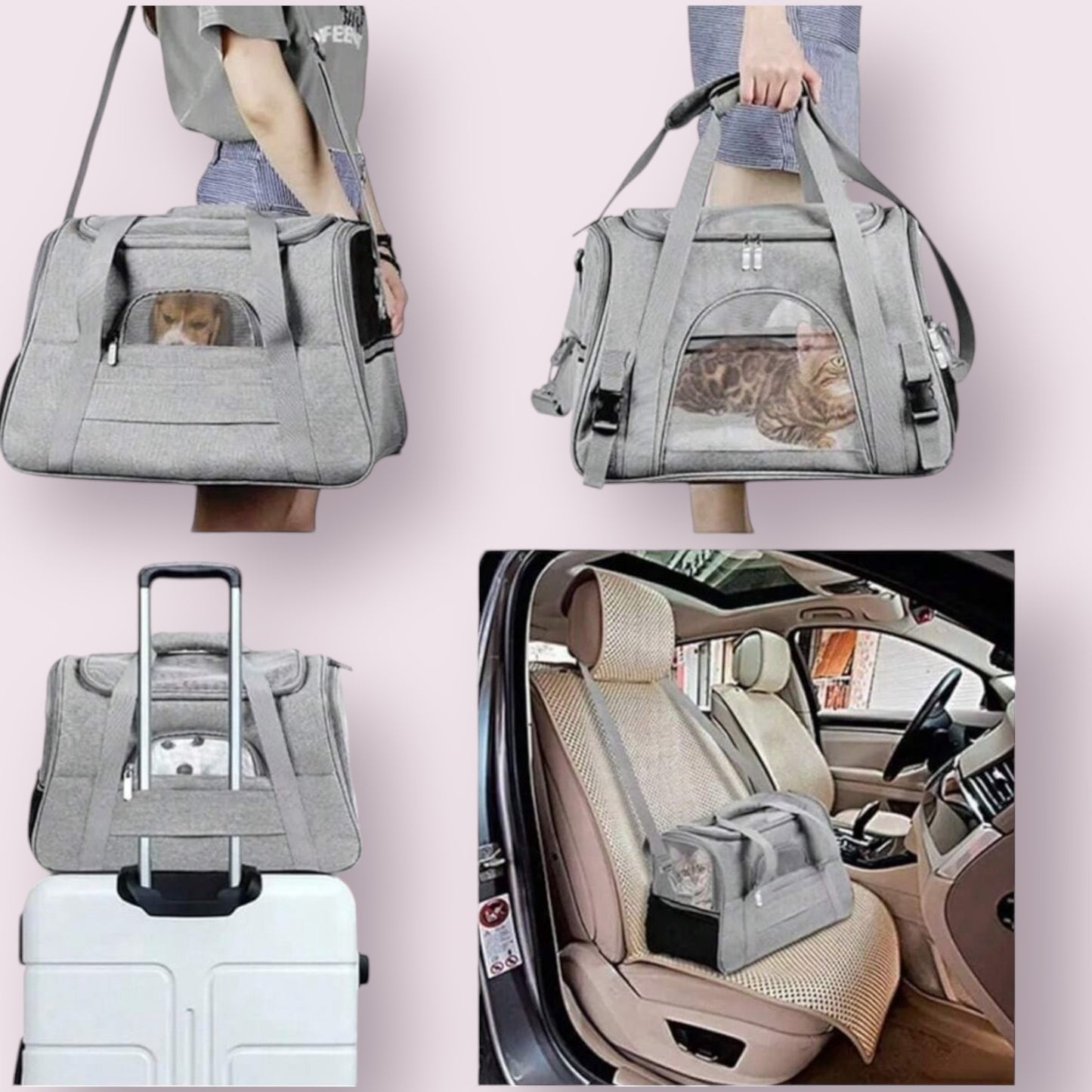 Bolsa de transporte premium