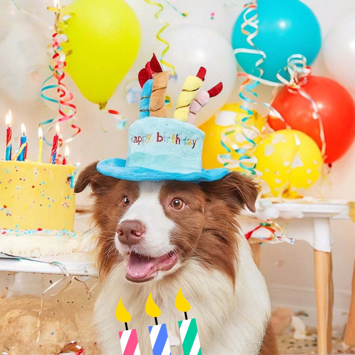 🎉 Sombrero de Cumpleaños para Mascotas 🎉