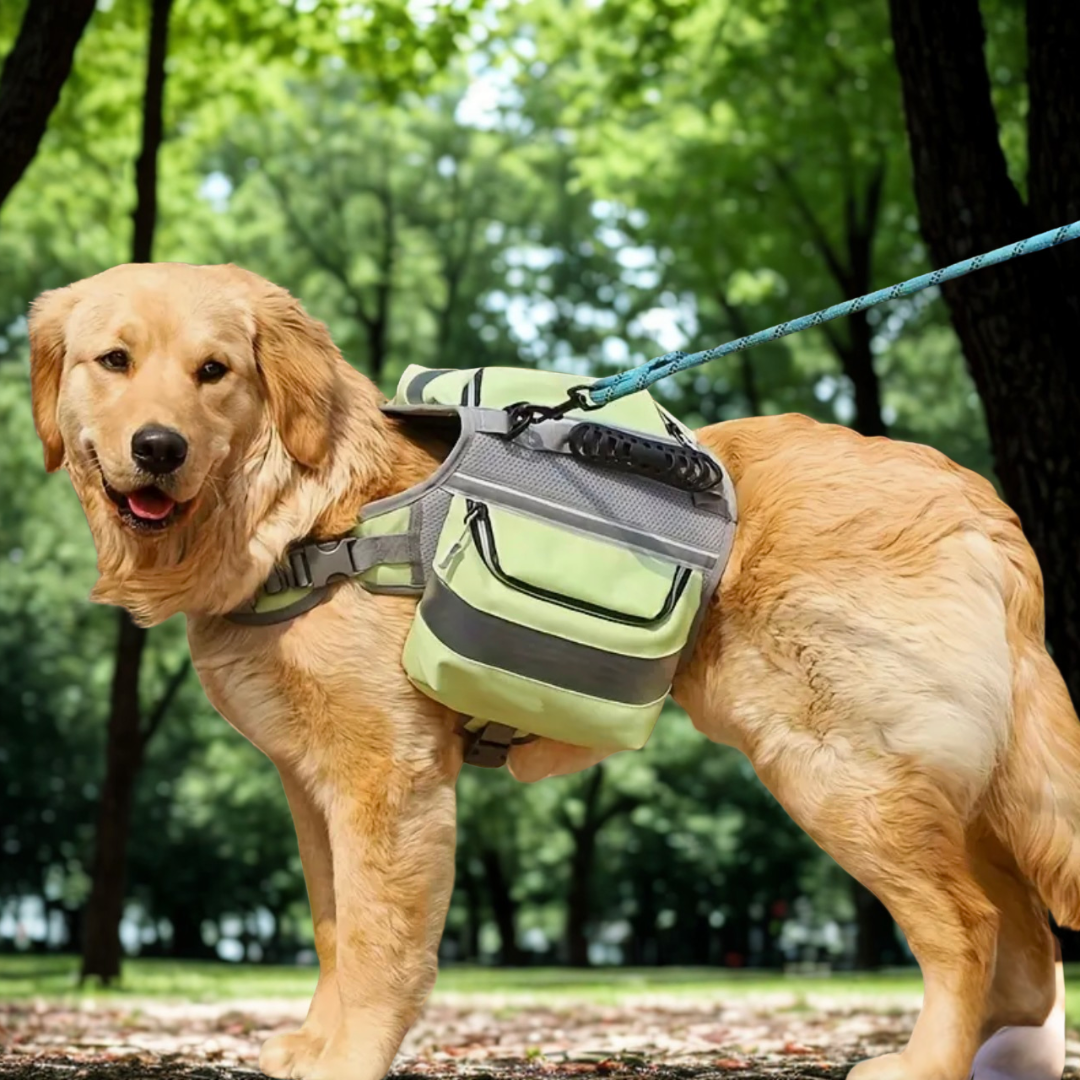 Mochila Outdoor para Perros