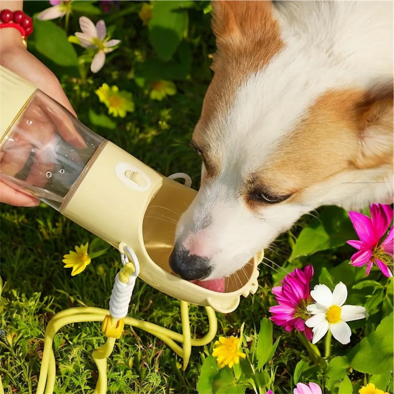 Botella portátil para mascotas – Hidratación donde vayas 🐾