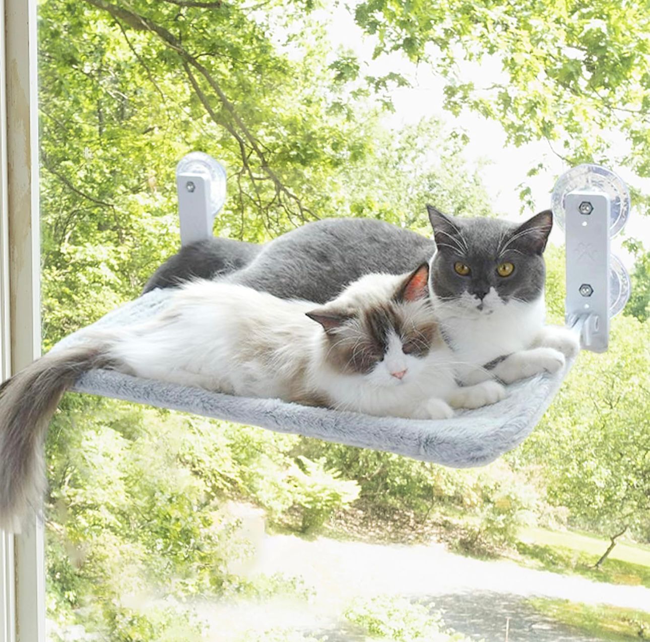 Hamaca para gatos con ventosas ultra resistentes – ¡el mejor mirador felino! 🐾