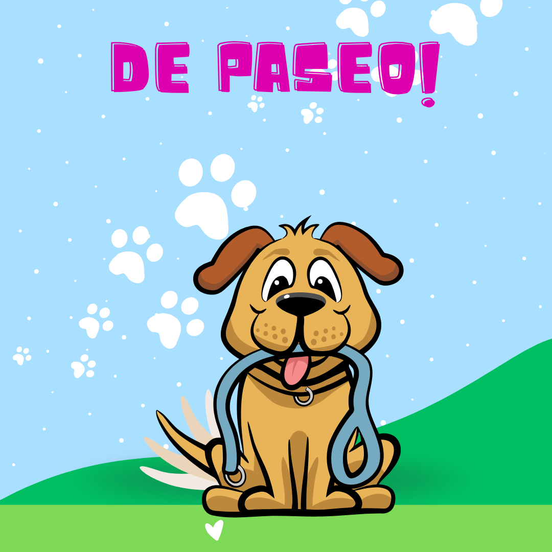 De paseo