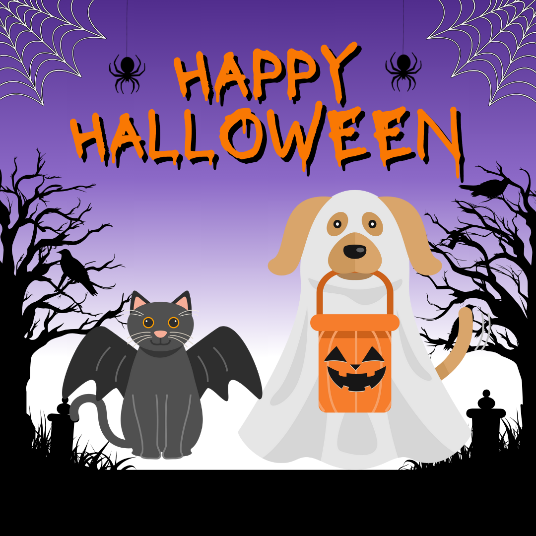 Disfraces para Halloween