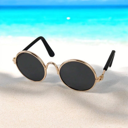 Gafas de sol para mascota