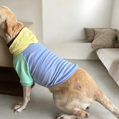 🐶 Sudadera Colorida para Mascotas - Estilo y Comodidad para tu Mejor Amigo 🐶