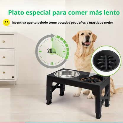 Platos Elevados Ajustables para Perros – 5 Alturas en 1 Solo Producto