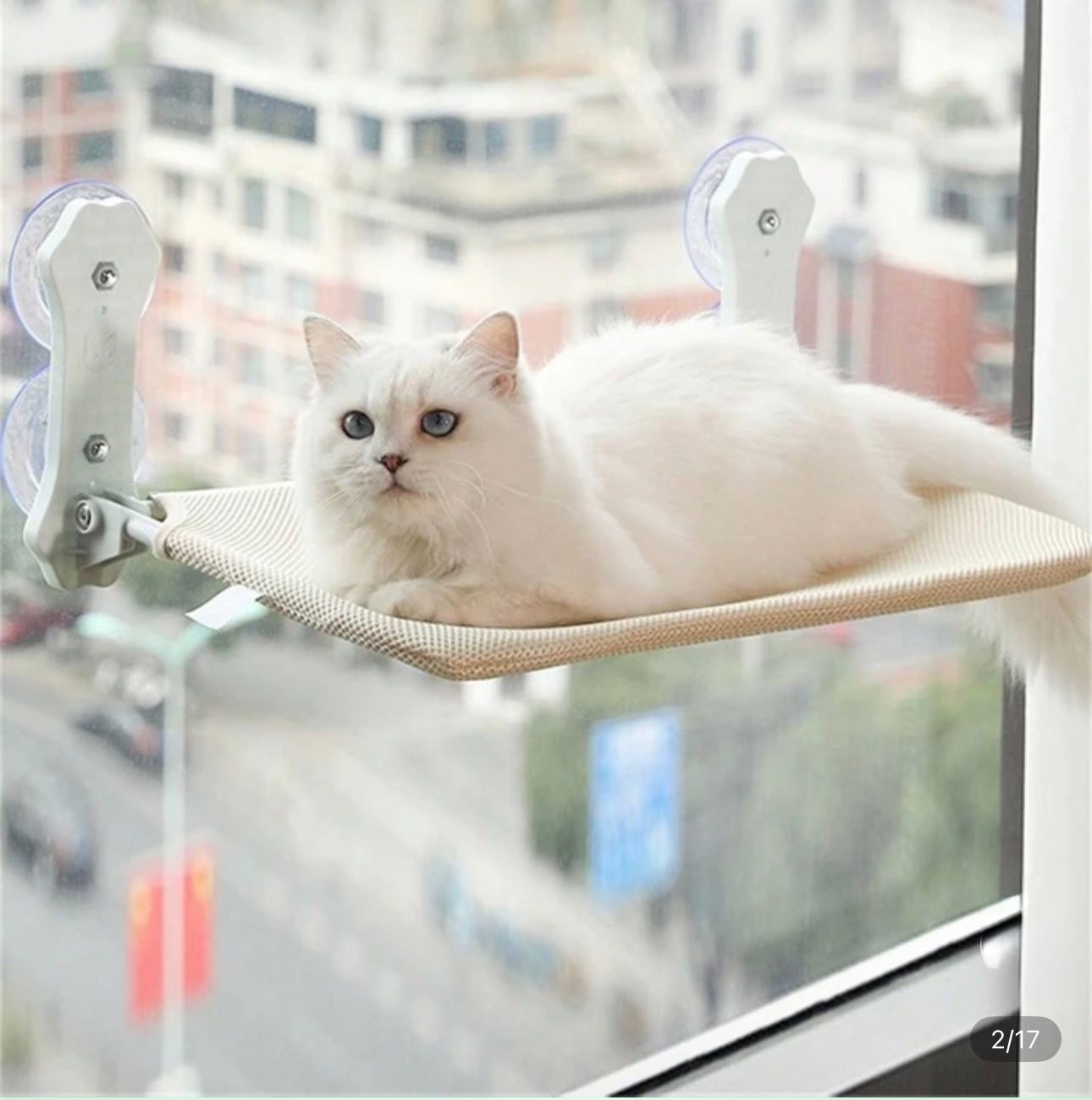 Hamaca para gatos con ventosas ultra resistentes – ¡el mejor mirador felino! 🐾