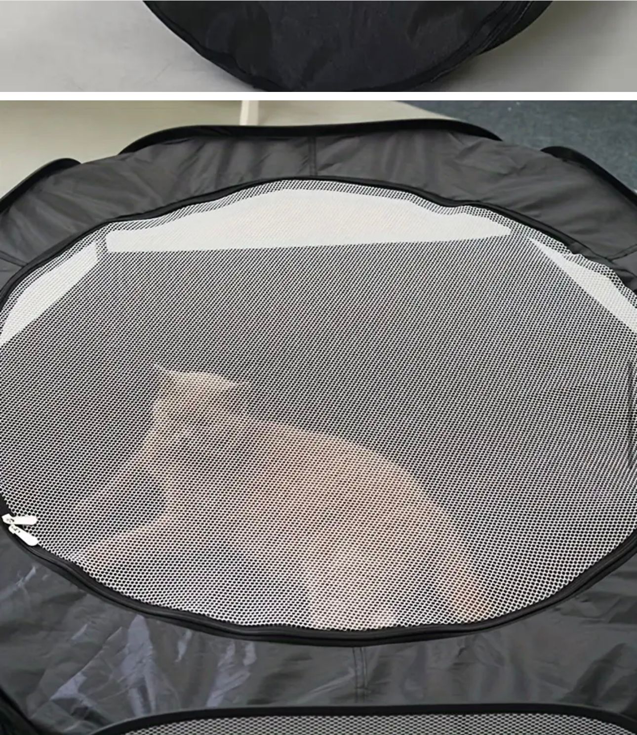 Túnel para gatos exterior – Exploración segura y divertida 🐾