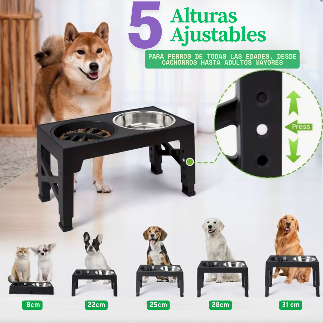 Platos Elevados Ajustables para Perros – 5 Alturas en 1 Solo Producto