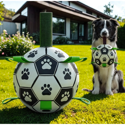 Pelota de Fútbol con Agarraderas para Perros | Juguete Resistente Woofy Ball 20 cm