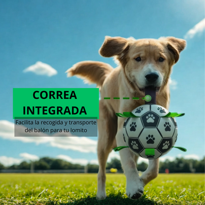 Pelota de Fútbol con Agarraderas para Perros | Juguete Resistente Woofy Ball 20 cm