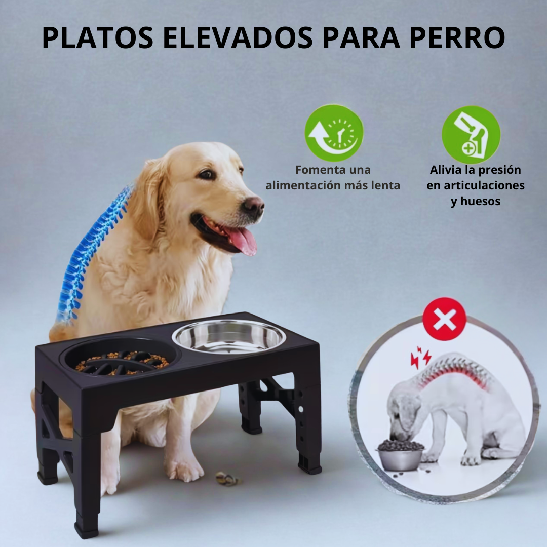 Platos Elevados Ajustables para Perros – 5 Alturas en 1 Solo Producto