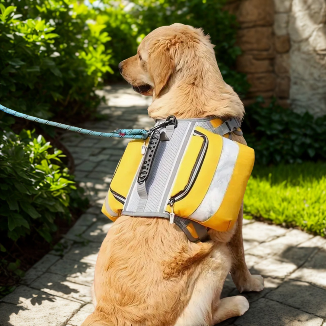 Mochila Outdoor para Perros